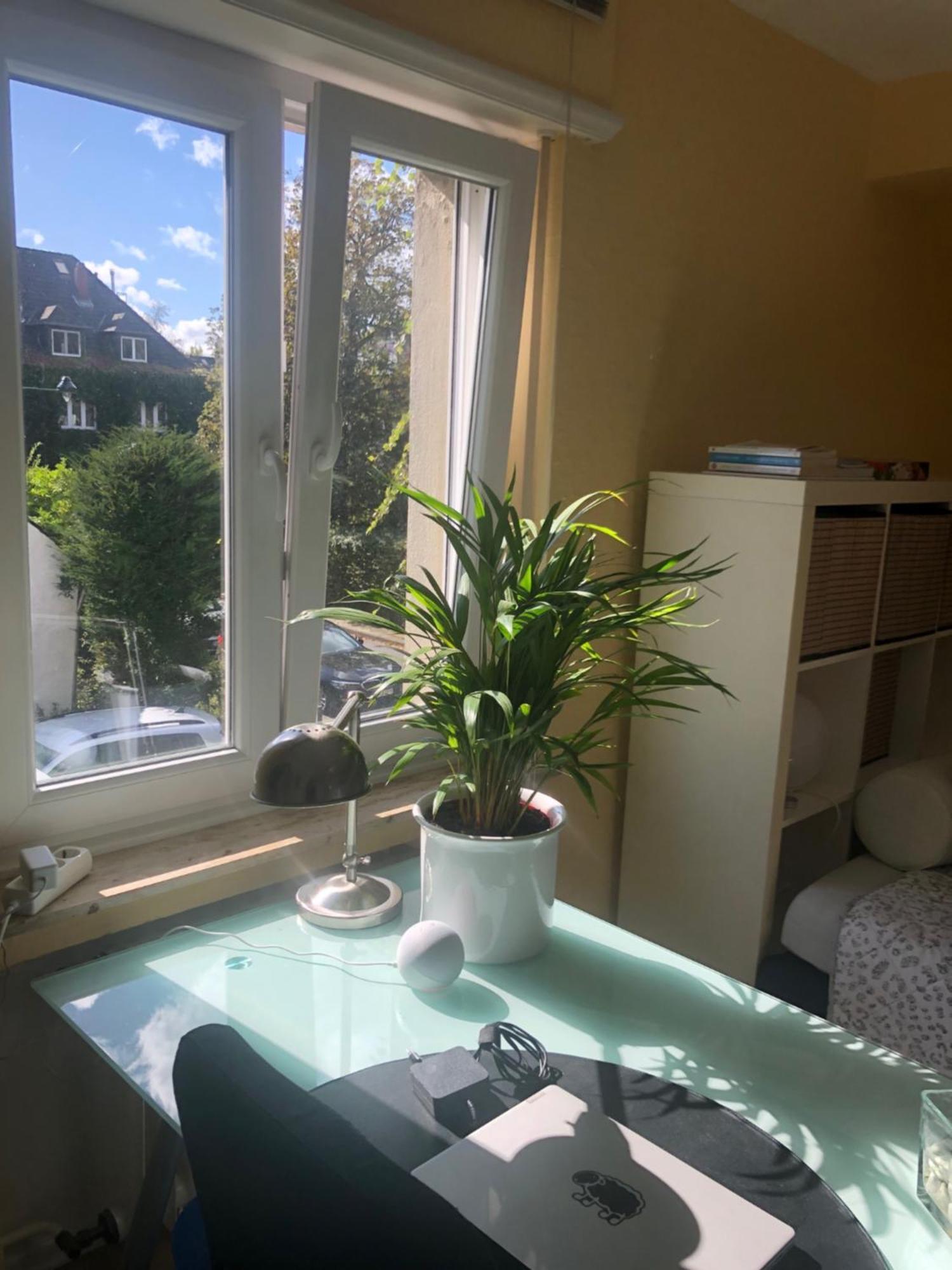 Glueck In Benrath Homestay *